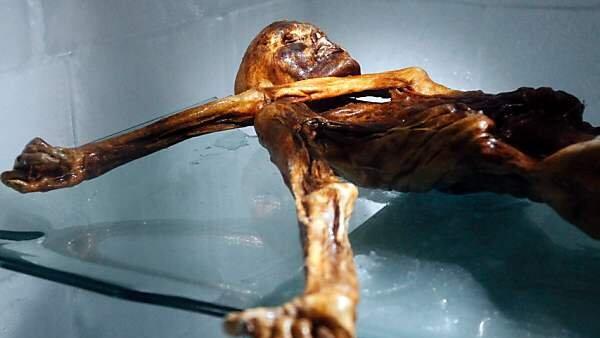 Mumie des Eismannes vor 25 Jahren entdeckt