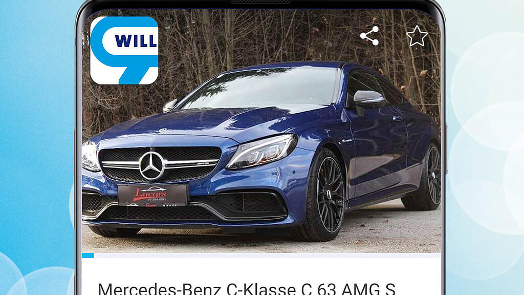 Stankovic verkauft Mercedes via willhaben