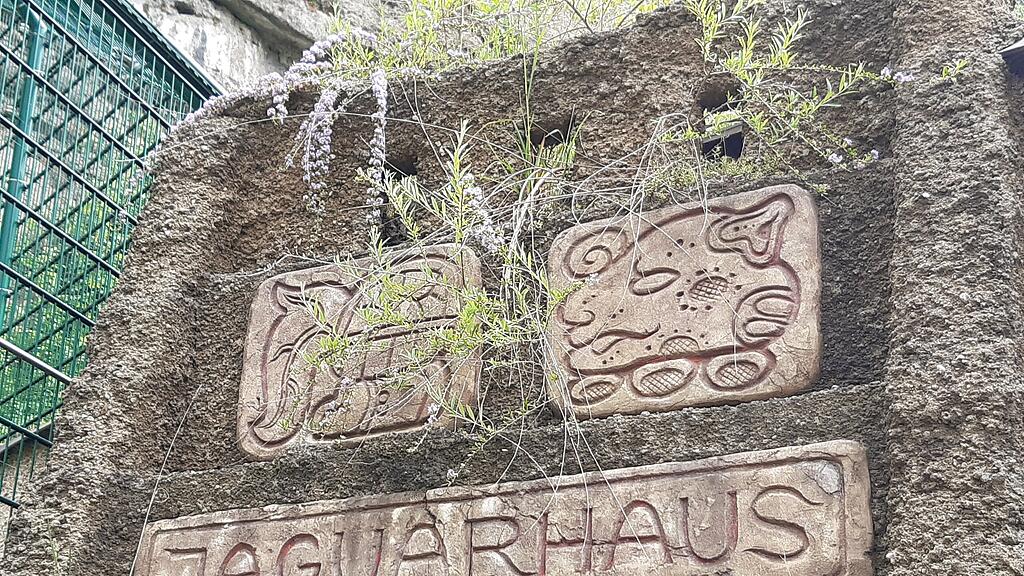 Jaguarhaus Zoo Salzburg