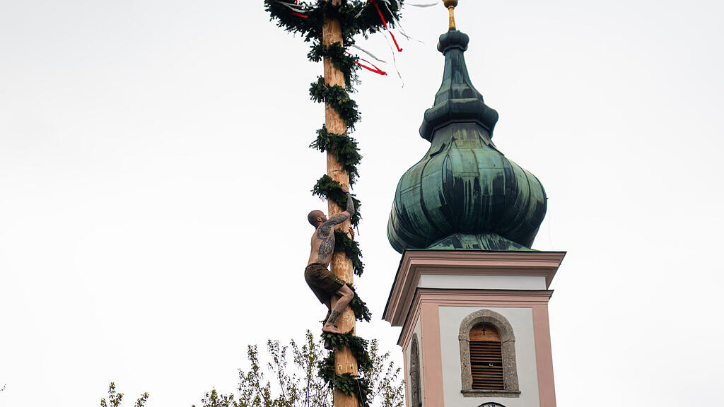 Maibaumaufstellen in Aigen