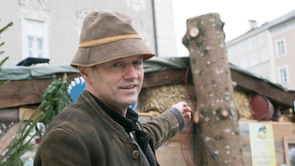 Baumstumpf bleibt zurück
