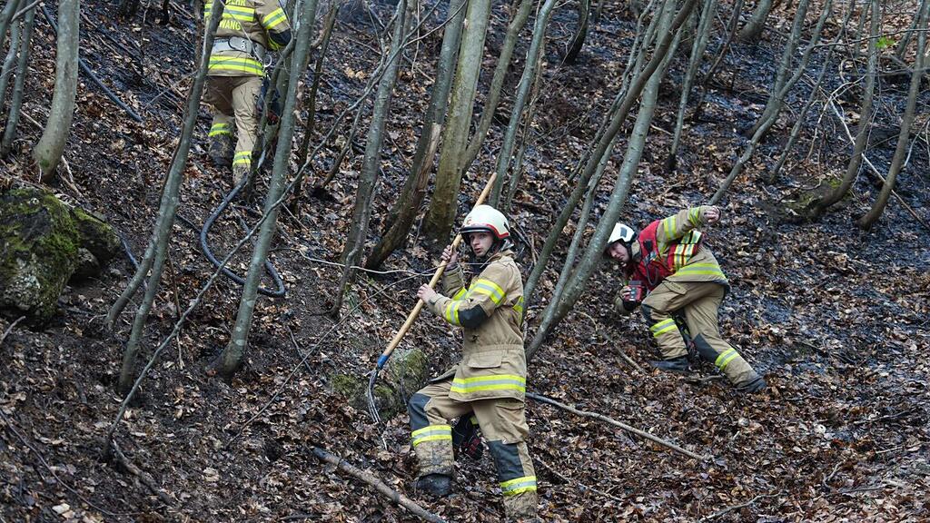 Flurbrand in Hallwang-Mayrwies