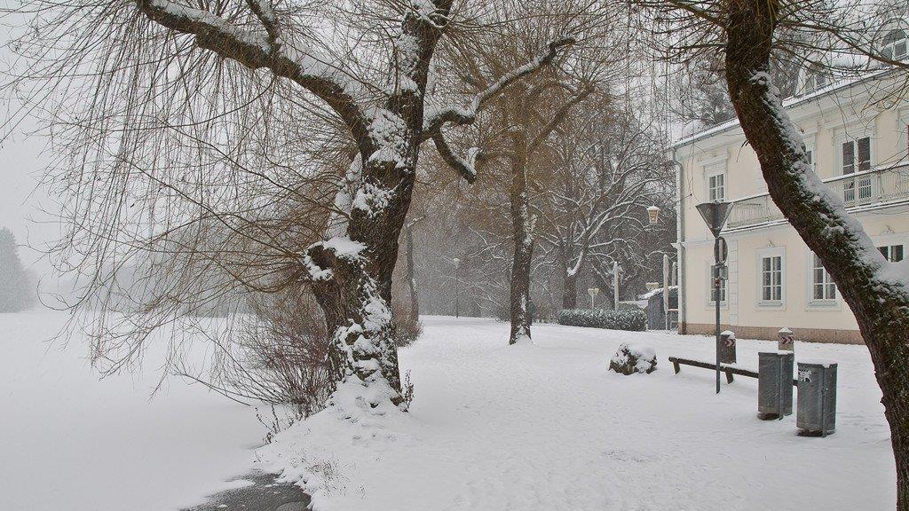 Schnee sorgt für Unfälle und Verkehrschaos: Schneefahrbahn in der Stadt Salzburg