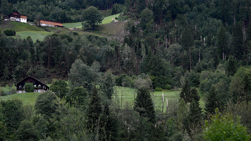 Meldungsliste(1)(7).jpg