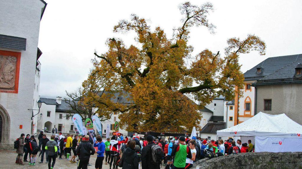 Mehr Bilder vom Lauf