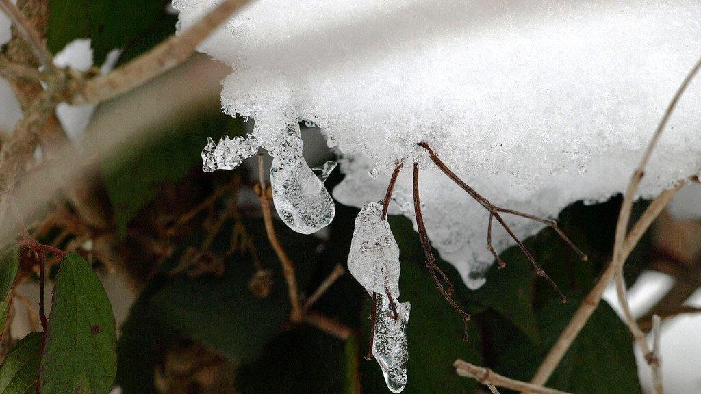 Winterspaziergang am Mondsee