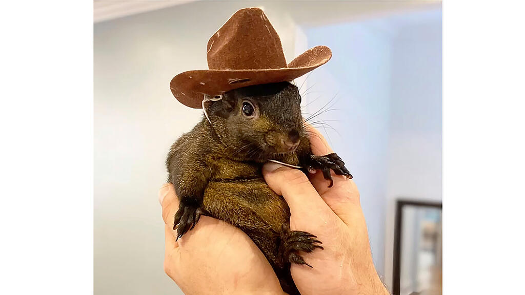 Peanut
