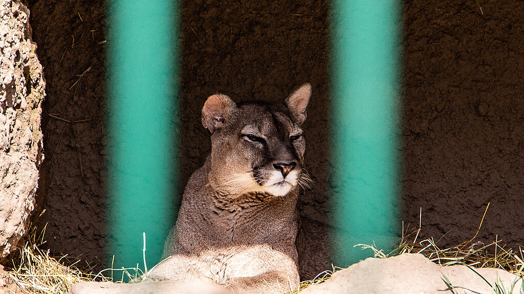 Frühlingserwachen im Zoo