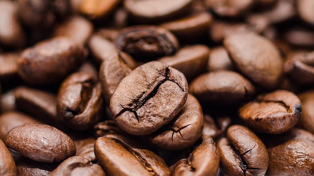 SB: Kaffee, Kaffeebohne