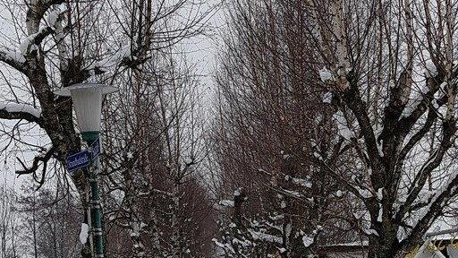 Winter in Salzburg
