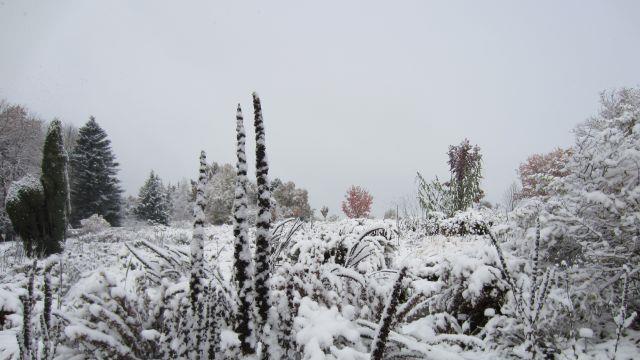 So schön kann der Winter sein