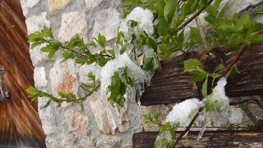 Schnee in Mühlbach/Hochkönig