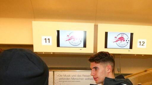 Jungbullen am Flughafen