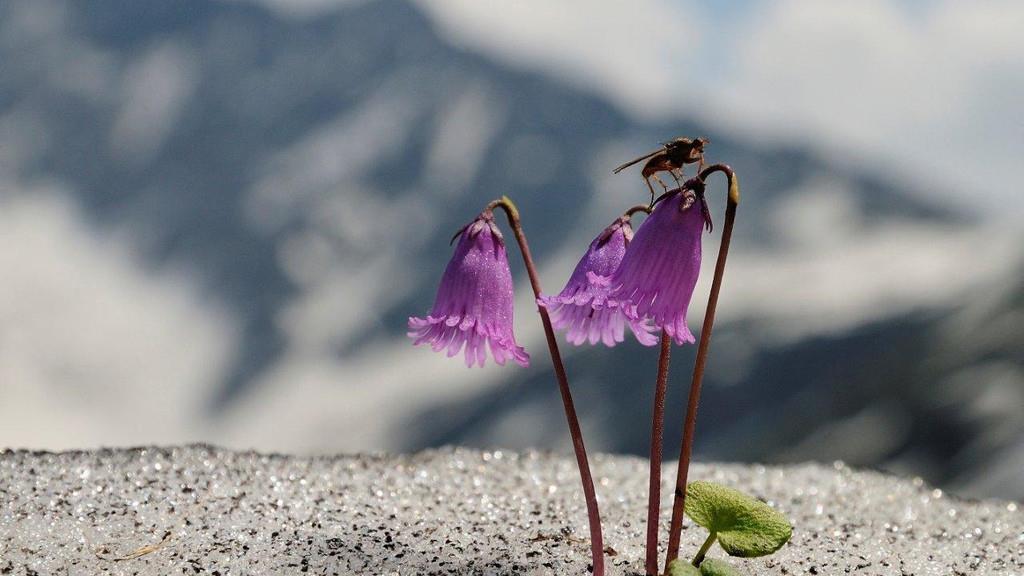 Sonderausstellung im Haus der Natur
