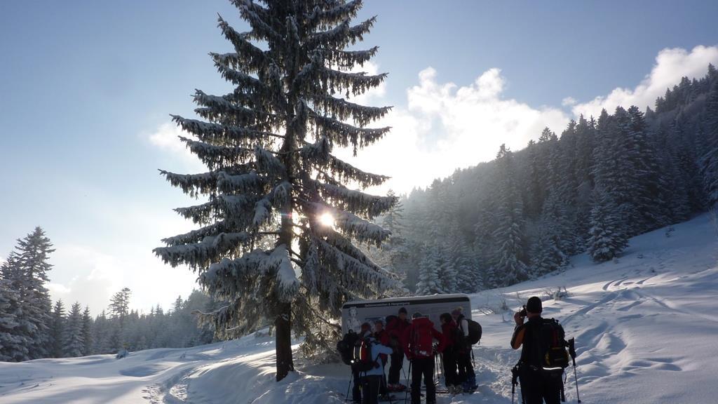 Tourenlehrpfad Faistenau