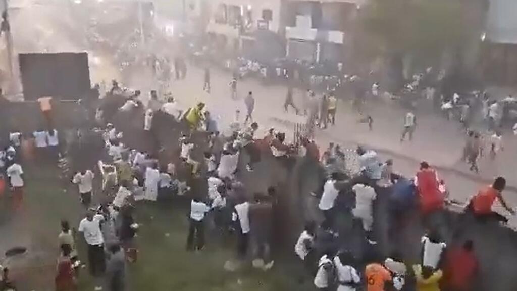 guinea.jpg