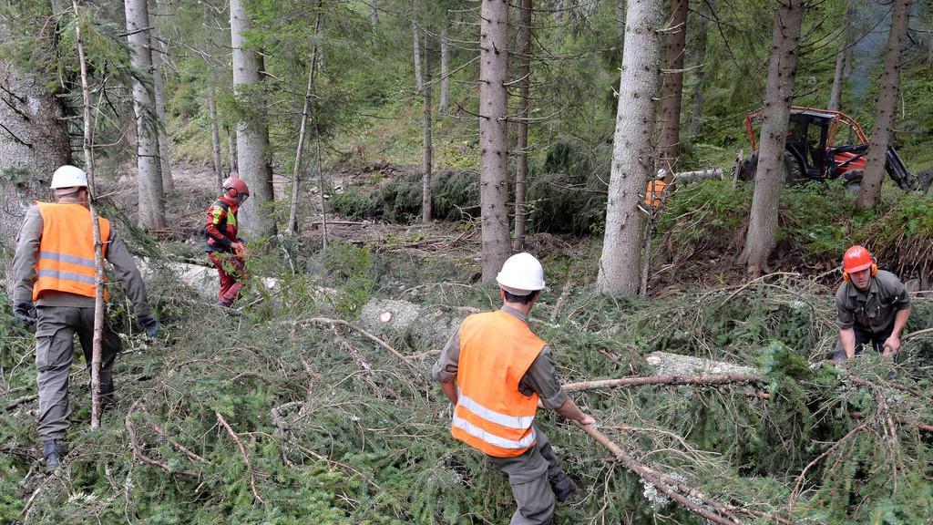 Salzburgs Pioniere im Einsatz I