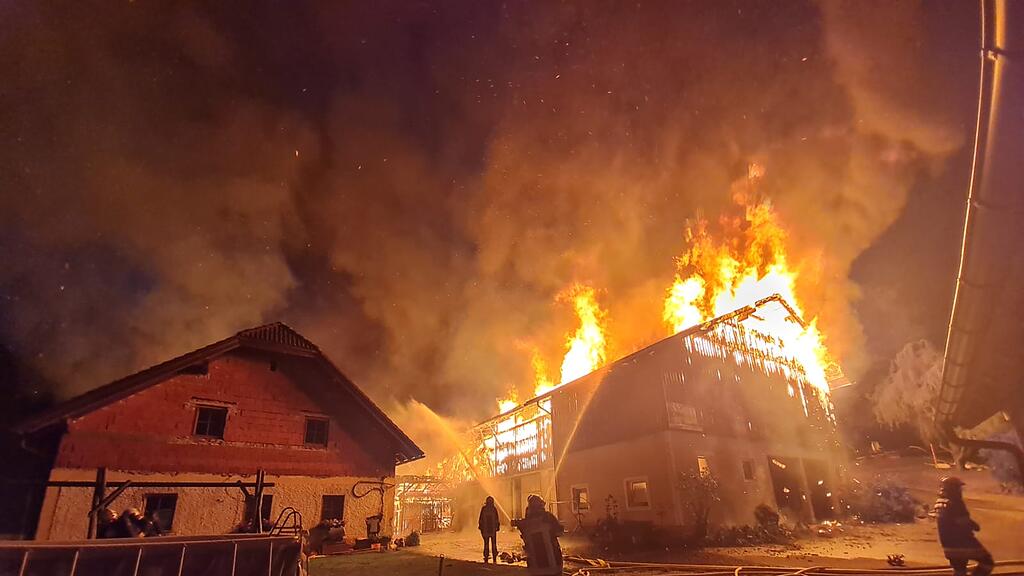 NIEDERÖSTERREICH: KÜHE UND SCHAFE BEI BAUERNHOFBRAND IM BEZIRK LILIENFELD VERENDET =