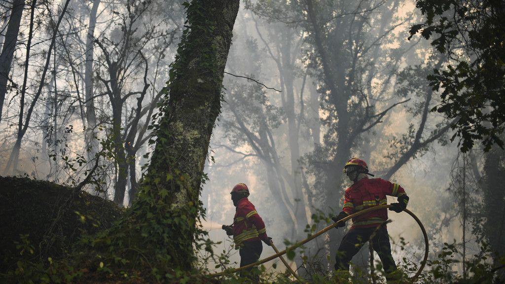 Waldbrand in Portugal