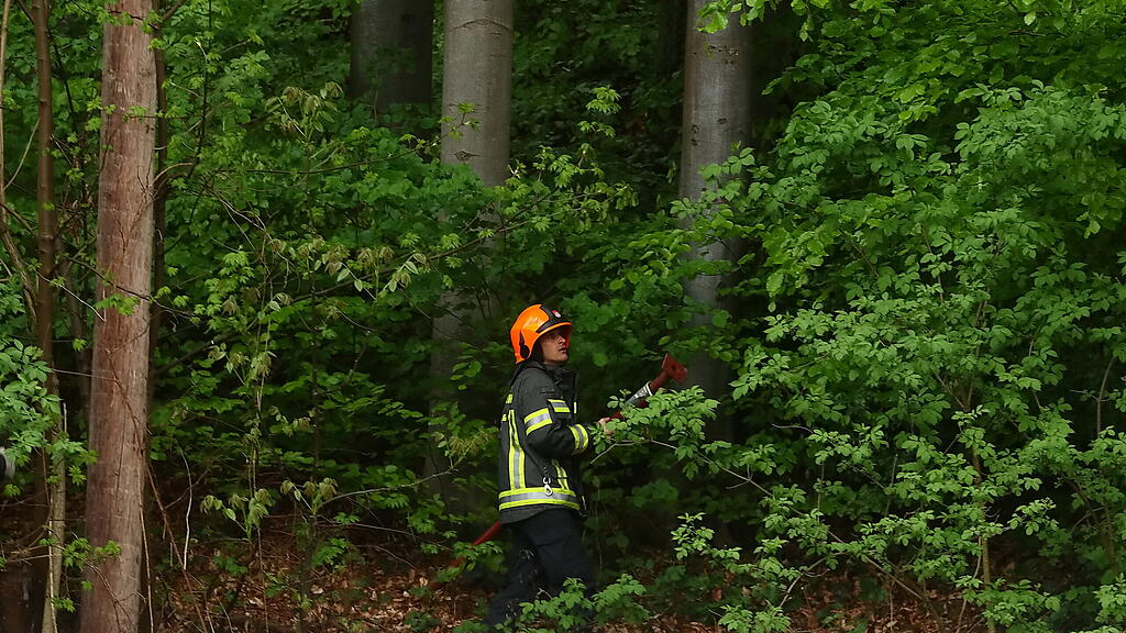 Baum fällt auf Stromleitung
