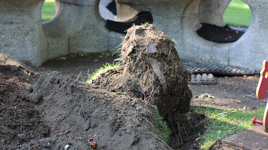 Sturmschäden Lepi