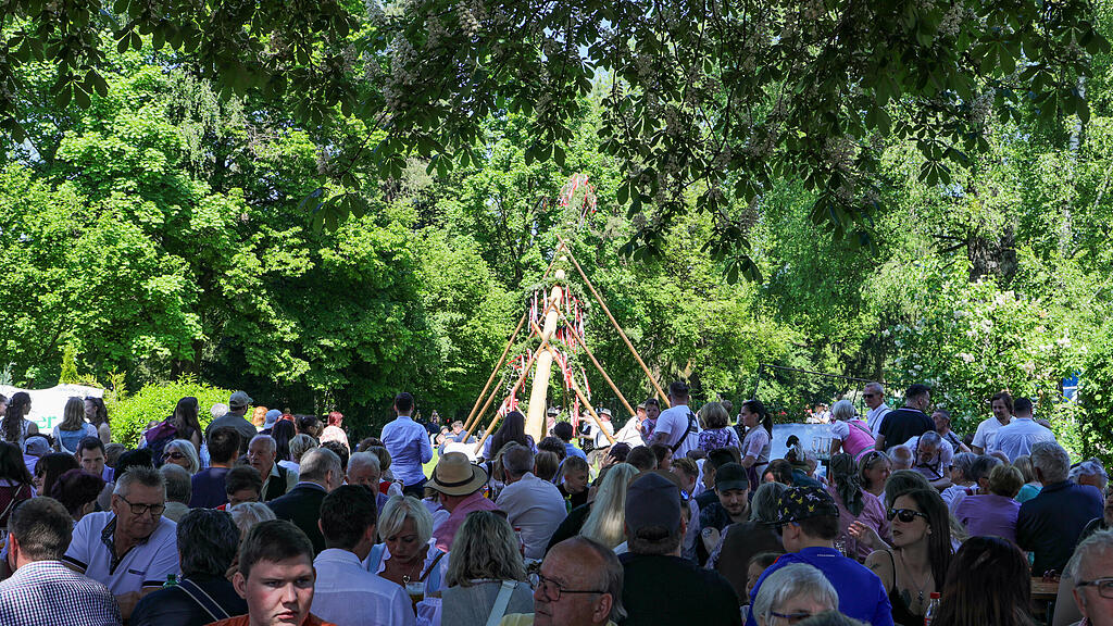 Maibaumaufstellen in Maxglan