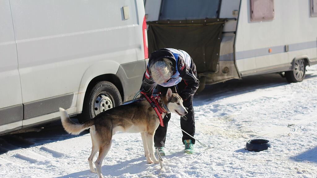 26. Schlittenhunderennen