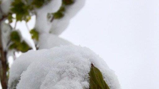 Schnee in Mühlbach/Hochkönig