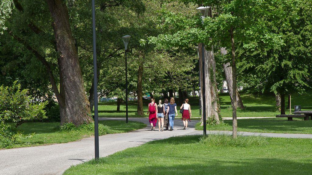 Lehener Park wird zur Schutzzone erklärt