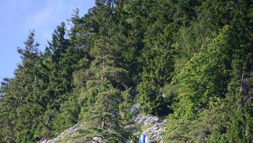 Paragleiter bleibt in Baum hängen