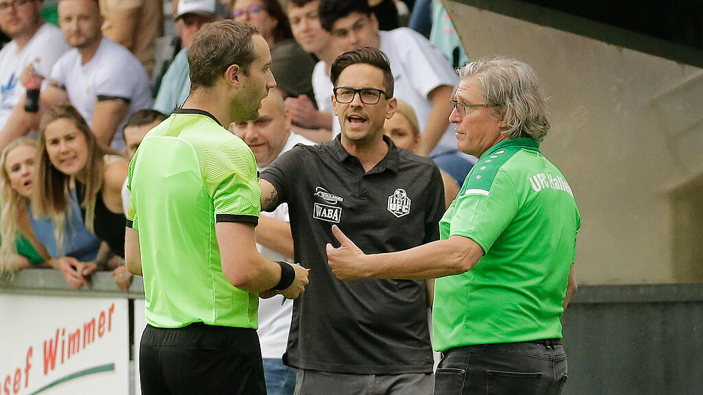 Puch, Hallein, Aufstieg, Salzburger Liga, Friedmann