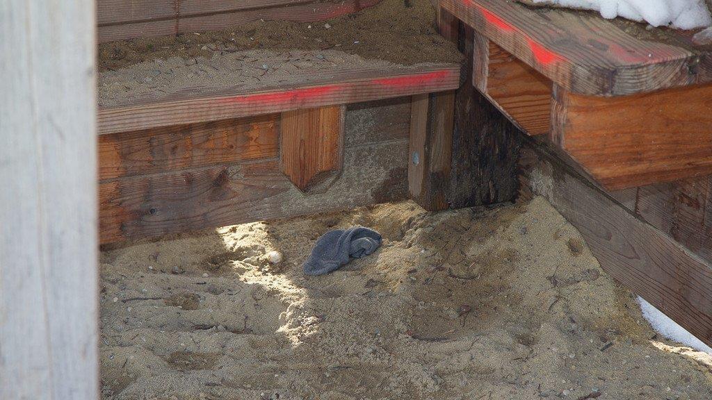 Bettlerlager im Struberpark in der Stadt Salzburg aufgelöst