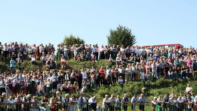 Ochsenrennen in Surheim