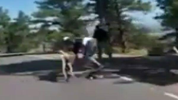 Skater crasht mit aufgeschrecktem Reh.