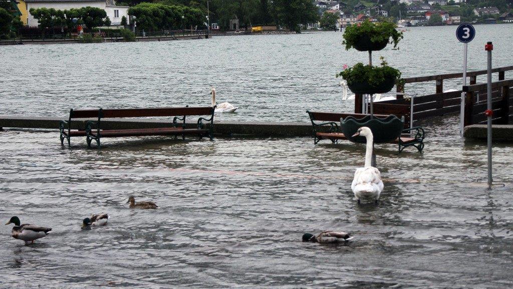 Salzkammergut räumt auf