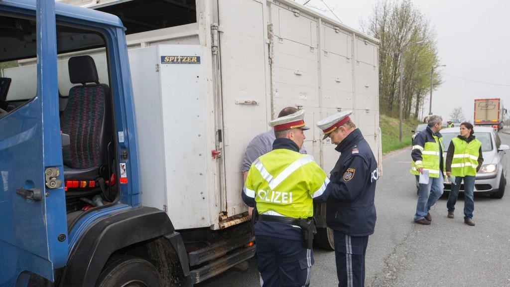 Tiertransporte kontrolliert