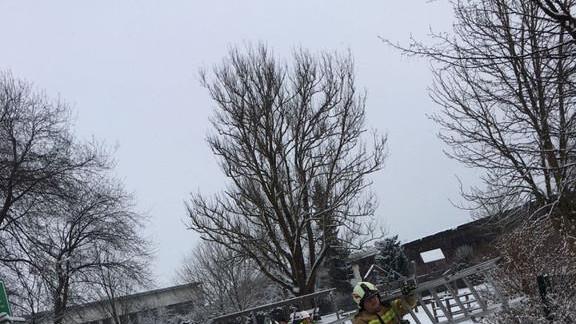 Feuerwehr Grödig rettet Katze von Baum