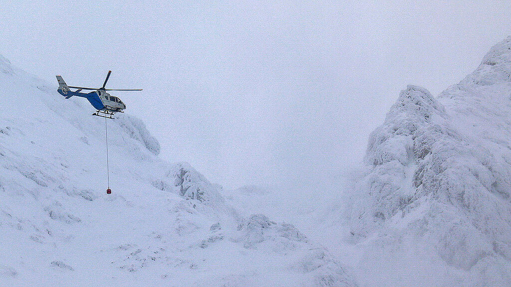 DQ3A6371.jpg
