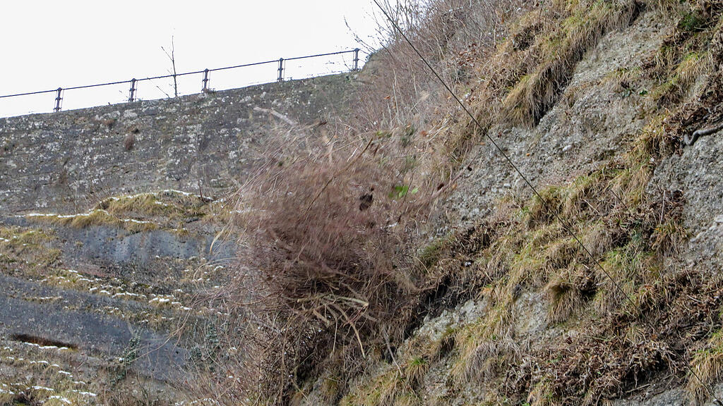 Bergputzer Mönchsberg Mülln