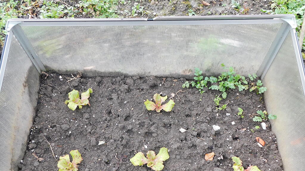 Gartengemeinschaft Paradieschen