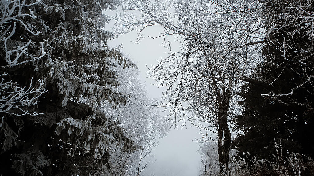 Schnee am Gaisberg