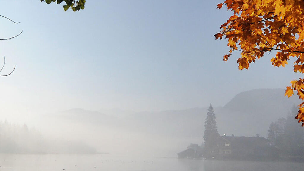 Der Herbst zeigt sich von seiner prächtigen Seite