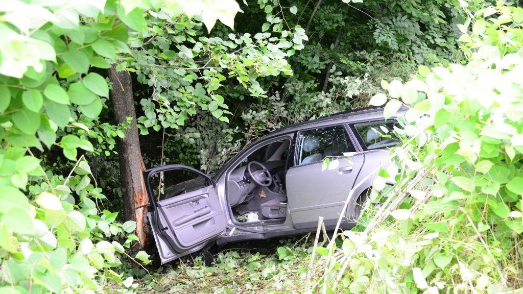 Pinzgauerinnen in Bayern verletzt, I