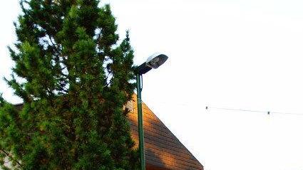 Hallwanger Waldfest II
