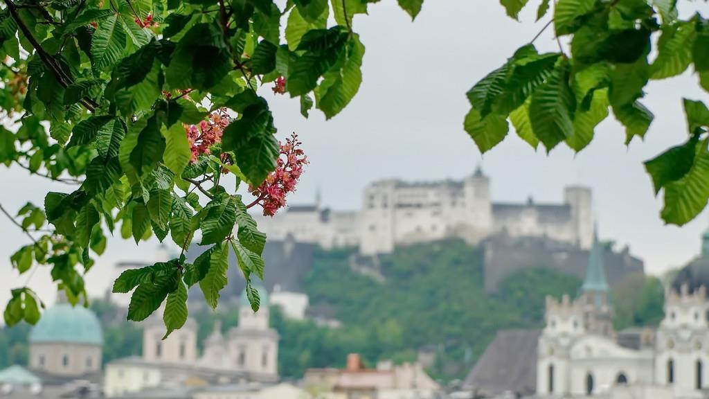 Radfrühling