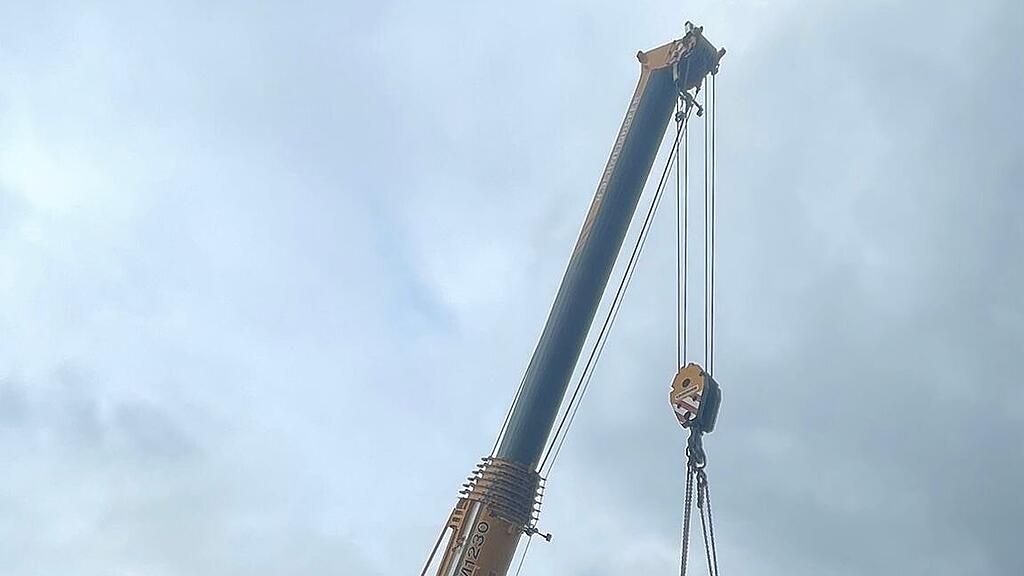 Christbaum wird verladen