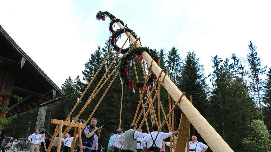 Maibaumaufstellen im Freileichtmuseum
