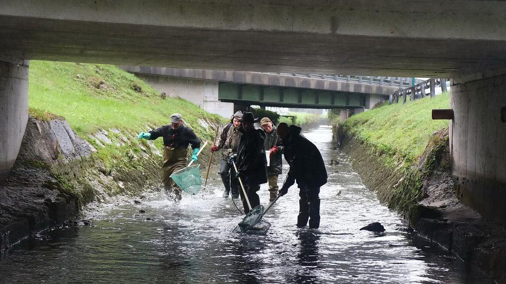 Almkanal Reinigung
