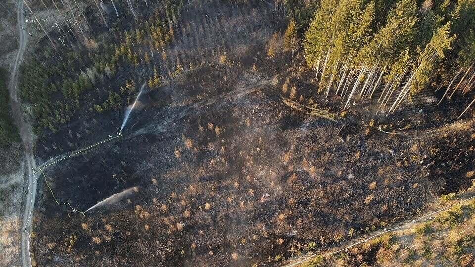 Waldbrand_Krottendorf