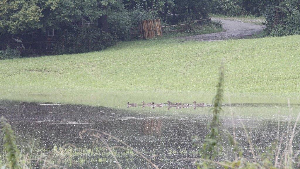 Hohe Pegel im Flachgau